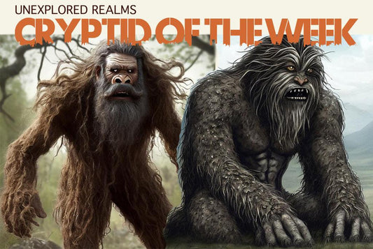 Unveiling the Cryptid Connection: The Hairy Man and the Urayuli - Unexplored Realms